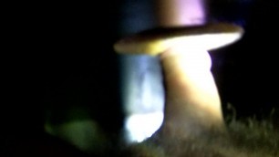 My cock at a glory hole