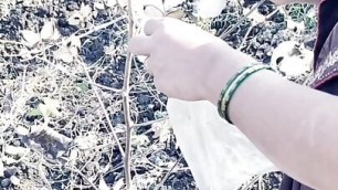 Marathi devar fucks pooja bhabhi fiercely in cotton cultivation Full HD Video